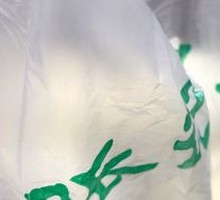 Three Delicacies Dumpling