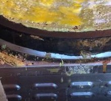 Purple Rice Pancake Skin