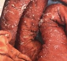Smoked Intestines