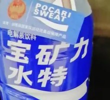 宝矿力水特