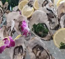 Oyster