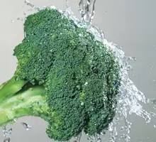 Broccoli