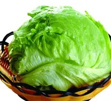 Lettuce Globe