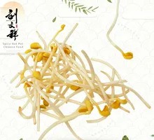 Mung Bean Sprouts