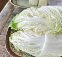 Chinese cabbage