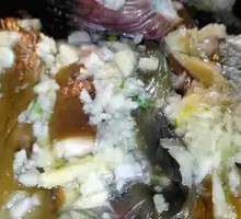 Eggplant