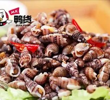 Sea Snail