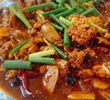 Fish Offal