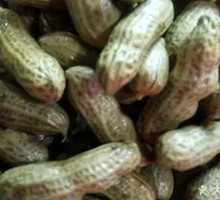 Boiled Peanuts