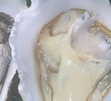 Steamed Oysters in Clay Pot