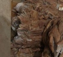 Sturdy Bone Rice Farm