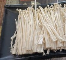 Enoki Mushroom