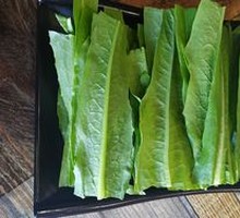 Oilseed lettuce