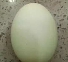 Salted duck egg