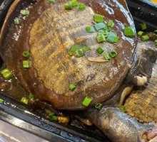 Spicy Softshell Turtle