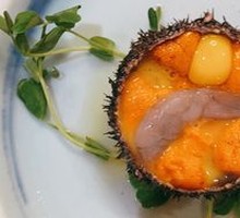 Sea Urchin