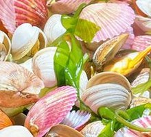 Basket of Clams