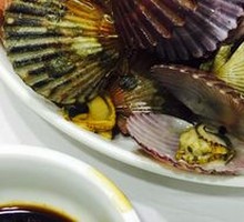 Scallop