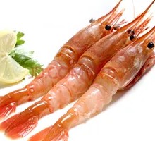 Peony Shrimp
