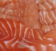 Salmon Slices