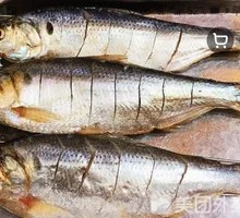 刺鱼