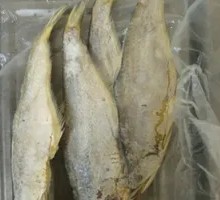 马口鱼