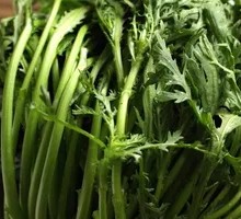 Chinese chrysanthemum greens