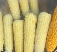 Glutinous Corn