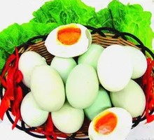 Sea Duck Egg
