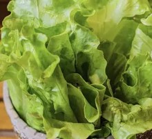 Lettuce