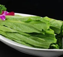 Oilseed lettuce