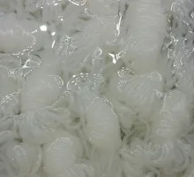 Konjac Balls