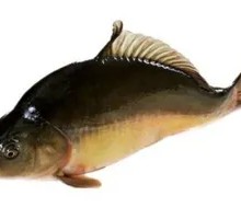 Stewed Mandarin Fish in Iron Pot