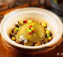 Dry Pot Softshell Turtle