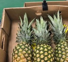 Pineapple