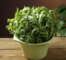 Baby Chinese Spinach