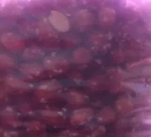 Sweet Nuts