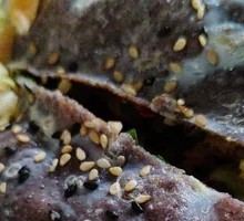 Dragon Fruit Egg Pancake