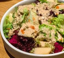 Organic Vegetable Salad