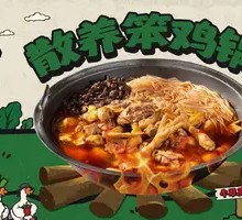 Free-range Chicken Pot