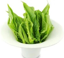 Oilseed lettuce