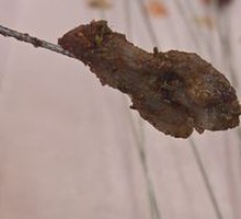 Special Lamb Skewers