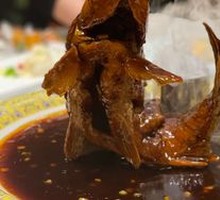 Carp Bouncing in Net