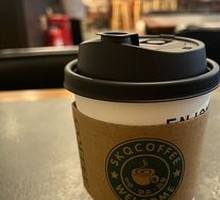 Elderflower American