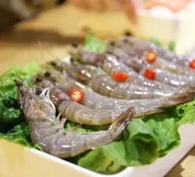 South American Shrimp