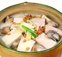 Braised Tofu in Clay Pot