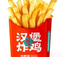Golden Crispy Fries