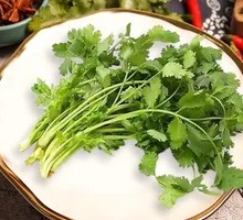 Cilantro