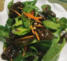 Wood Ear and Andrographis Salad