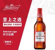Budweiser Bottled Beer